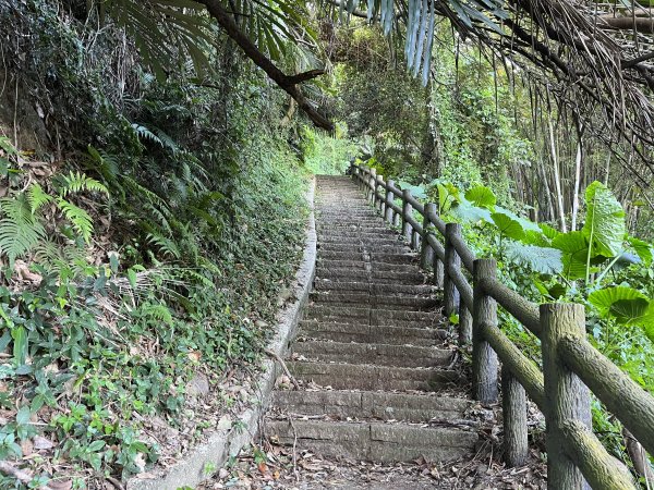 [森遊竹縣-06/10] 2023_1111 蓮華山古道群：飛龍步道、進香古道、採茶古道、載熙古道2346786