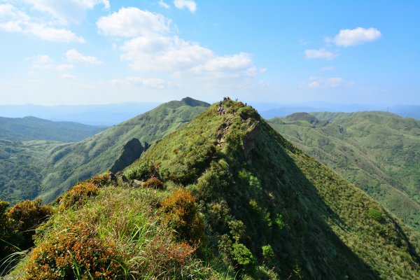 茶壺山O型883004