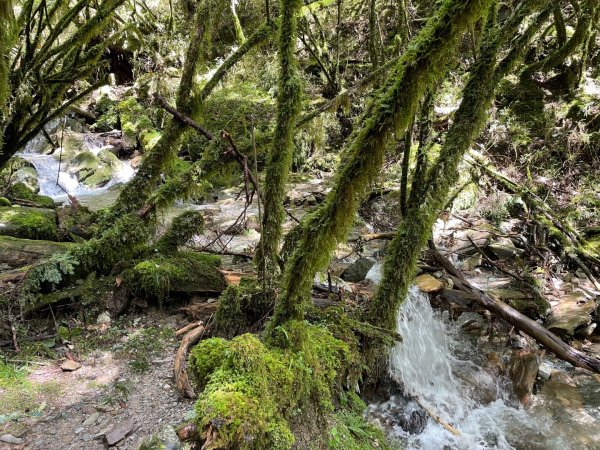 向陽日出，嘉明湖光2865072