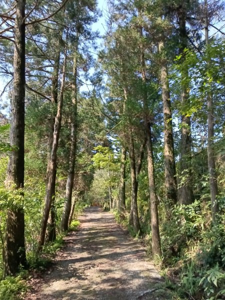 崩山坑古道+東柑腳山+後寮仔嶺+後寮子古道+後寮仔保甲路O型2750928
