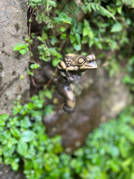 臺北大縱走第一段_關渡至二子坪2853783