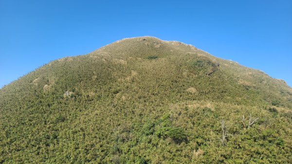 2026-0213 苗圃-凱達格蘭山-七星錐-七星山南峰-小油坑-竹子湖-水車寮步道-湖田猴崁步道-3005664
