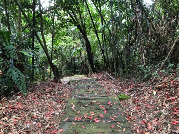 達娜伊谷走里美避難歩道、巨石坂步道690701