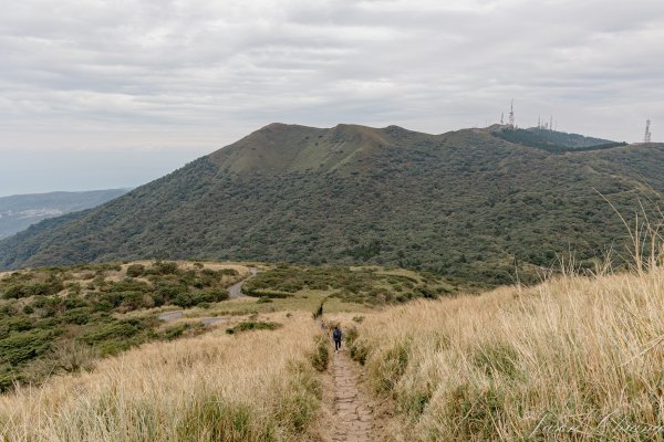 [台北]大屯山2693404