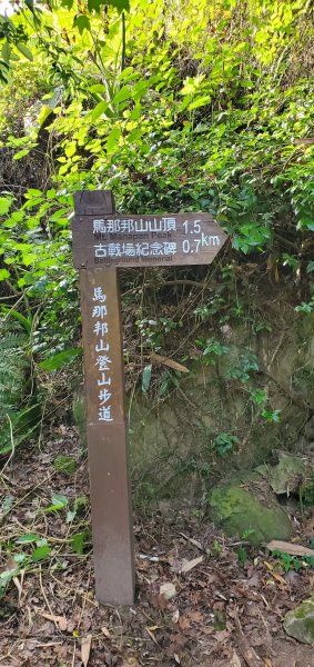 2021-04-11馬那邦山登山步道1346415