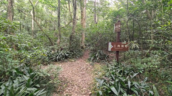 里龍山3038443
