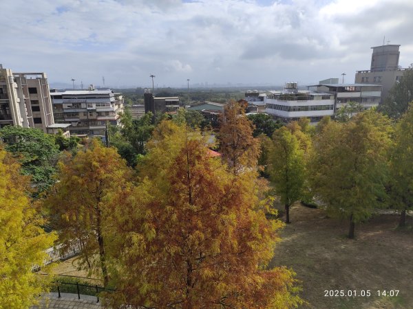 行天宮北投分宮、師大公園、臺北市立美術館2683310