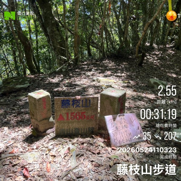 藤枝山3061251