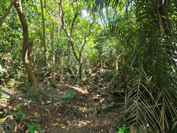 南壽山步道2805691
