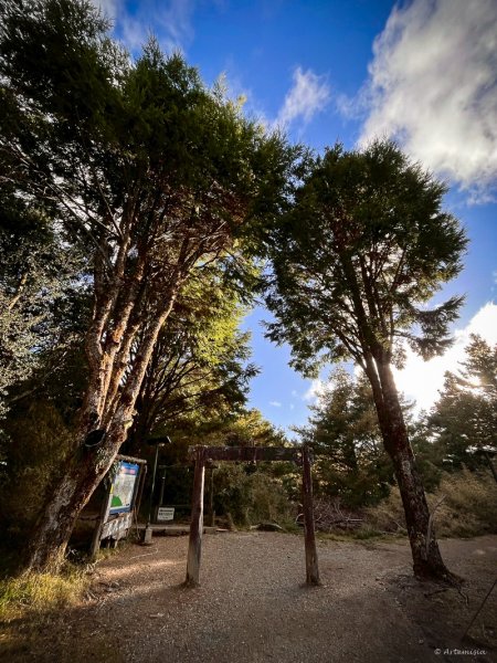 [冬訪大霸聖山岳參行]-大鹿林道東線榆金楓紅與九九山莊精選輯2974726