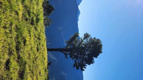 【中級山】馬武霸山，實至名歸的百岳觀景台2937721