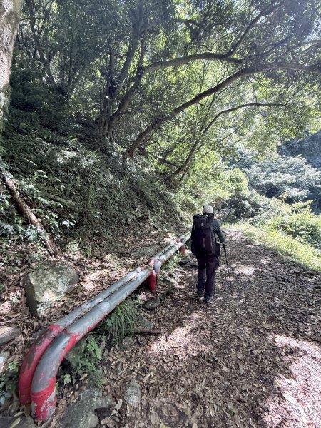 來去郡大坐龍貓公車順登對關山2822336