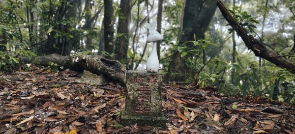 2025/05/11-丸田砲台遺址步道2784560