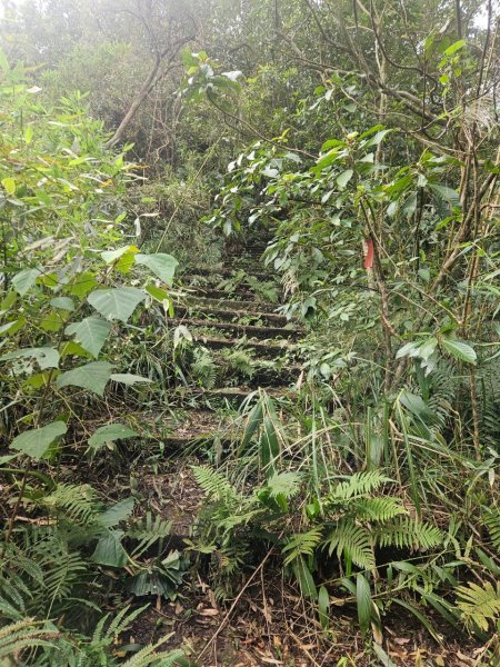 20250105隆盛山-煤渣山-雙溪口山主東峰-排寮尖-十八重溪山2683208