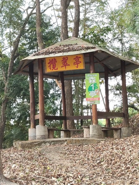 東勢林場森林浴場步道3019110