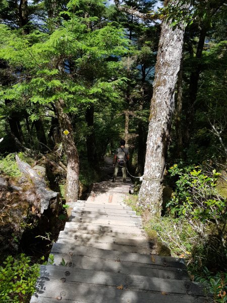 台東/高雄-庫哈諾辛山3053779