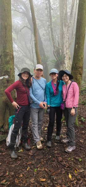 縱走大鳥鵝2828391