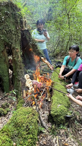 夜宿北插天山         氣溫24~13度(很舒服)2289584