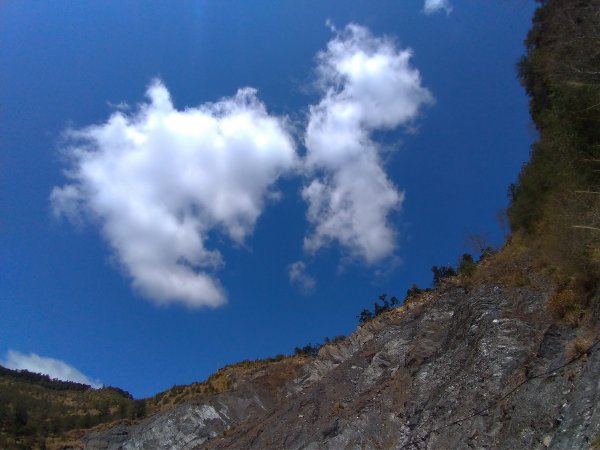 【南投縣仁愛鄉】能高主奇萊南南華山(上)封面