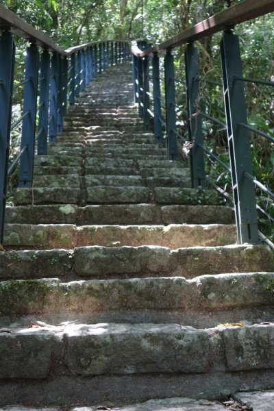 〔花蓮〕布洛灣吊橋+伊達斯步道+環流丘步道。一次走好走滿的布洛灣壯麗景觀步道2266363