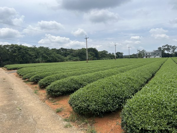 [皮皮獅探險隊-05/10] 2025_0706 石光古道2831847