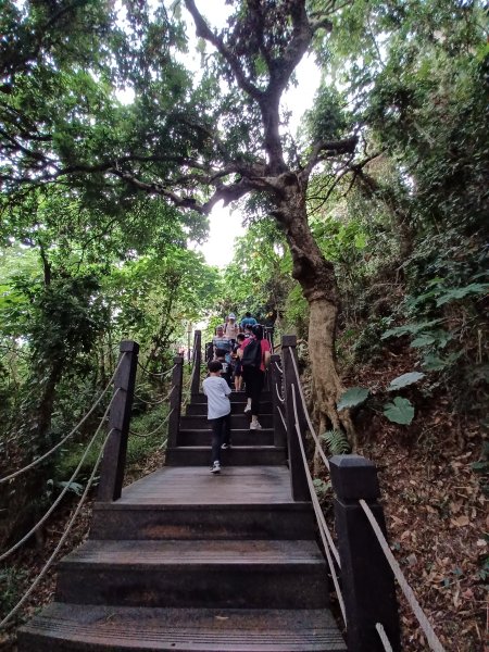 【台中北屯】台中大坑九號步道2933016