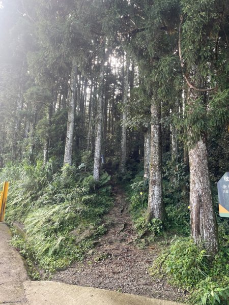 油羅山 2025 09/132890037