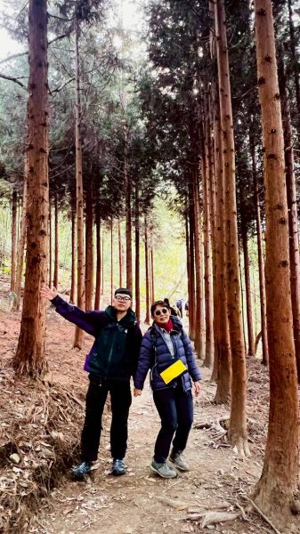 🌈2/7（六）-2/8（日）上帝部落~司馬庫斯神木2日深度之旅✨FB：熊熊趴爬走🌈🌈2995208