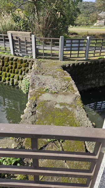 20251229龍潭大池自行車道-三林自行車道-名人棒球堂飯店-石門大草坪-林埤古道-石門水庫2974585