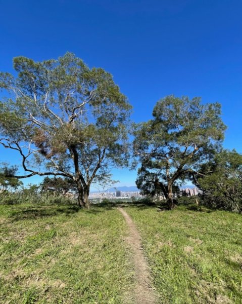 微笑山⛰️線-大棟-二格山-五分山-天上山-鳶山💎12條步道完成💙2834146