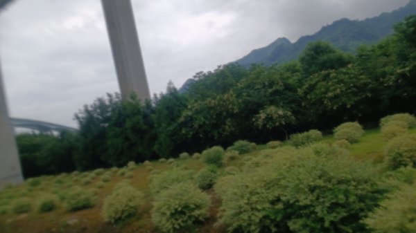 橋聳雲天綠雕園區1753794