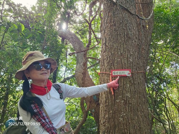 20251222竹東三山步道O型連走(樹杞林山、新具庄山、員崠子山)2975766