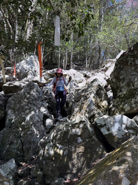 屋東縱走 202503012728995