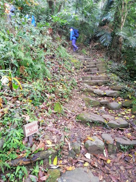 台南東山~山上尋悠。 #65小百岳崁頭山915978