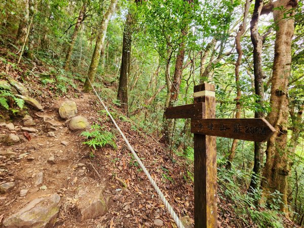 小百岳集起來-李崠山2183093