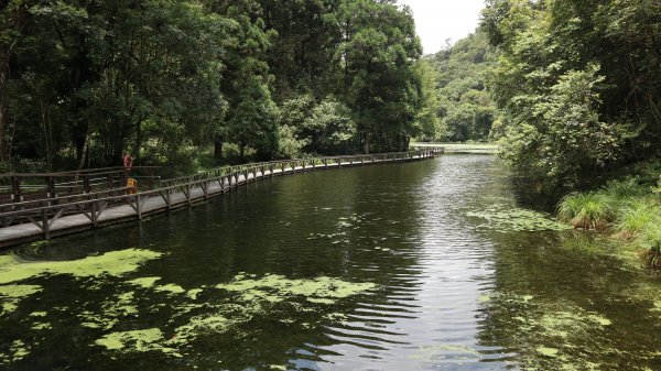 福山植物園登山健行趣(步道)2269413