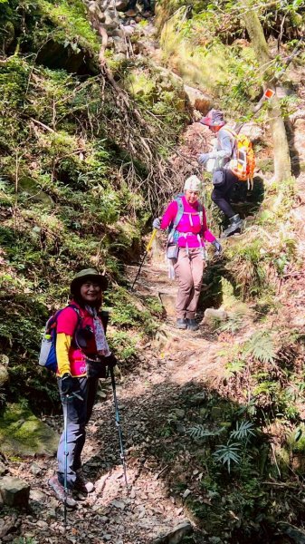 🌈3/14（六）赫威神木群+赫威山✨FB：熊熊趴爬走🌈3015378
