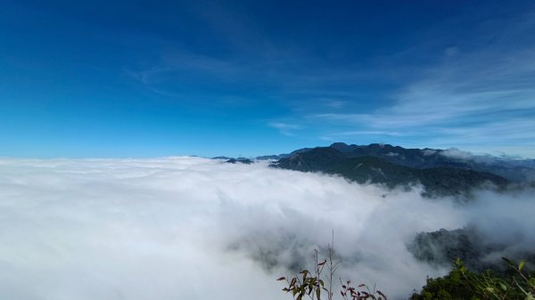 鳶嘴山美呆了~滿滿的雲海~1884291