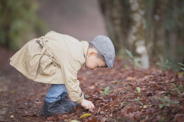 20200310-司馬庫斯神木群步道914313