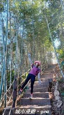 【南投魚池】後尖山步道2968303