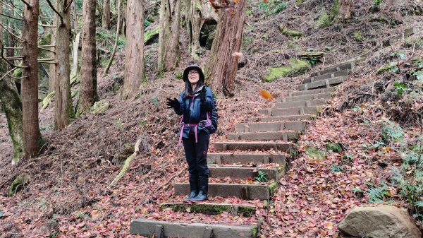 神阿縱走~台灣難抵極~大塔山2971482
