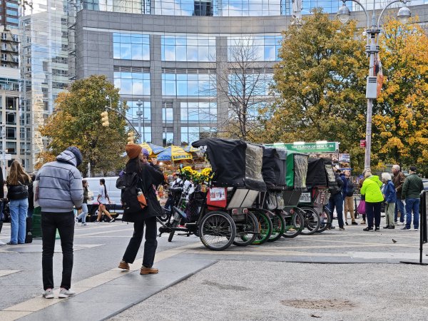 [紐約馬之行-10] 2025_1101 紐約中央公園2945000