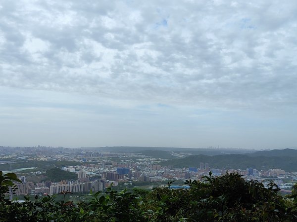 鳶山登山步道2760128