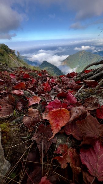 走在浪漫的紅地毯～稍來、烏石坑山2385296