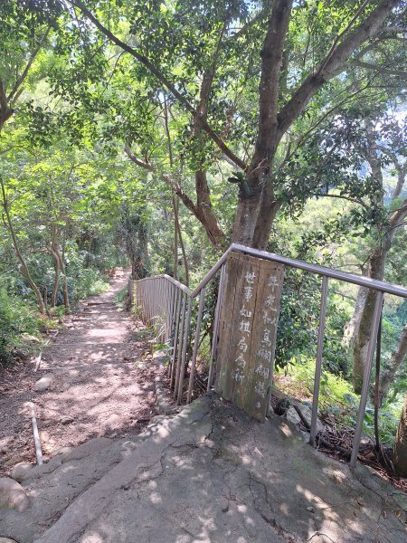 田中森林登山步道＋茶香步道＋赤水崎公園步道202508172862074