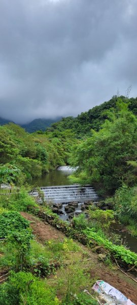 🌈貂山古道-黃金地質公園-黃金神社🌈2601271