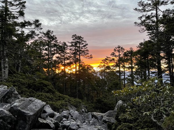 2025/03/02 白姑大山單攻2728496