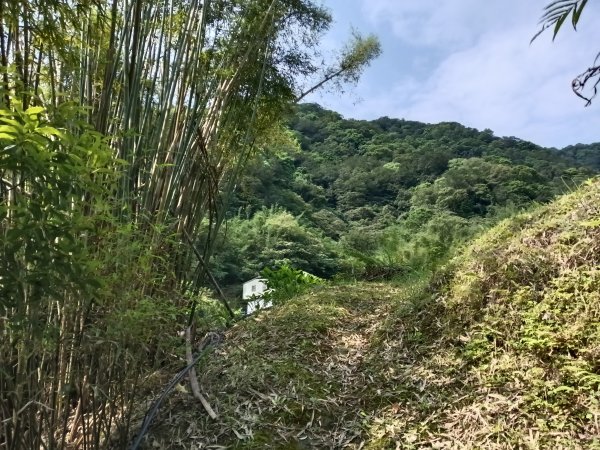 平溪區番子坑古步道O型3042605