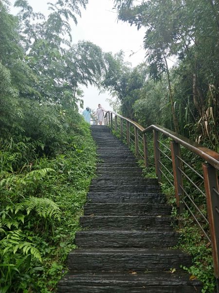 太平雲梯吊橋步道397183