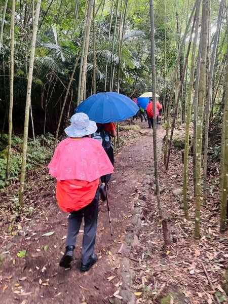 高遶溪古道/羅馬公路2844129